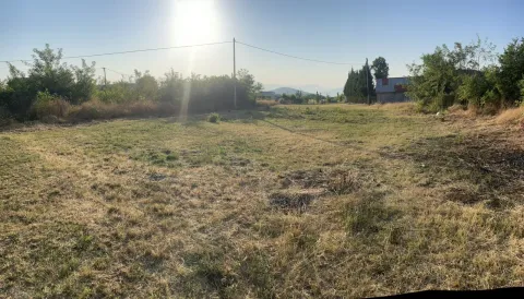 Pogled na prostrani ravni plac obrasao travom i niskim rastinjem sa drvećem u pozadini. - image 3