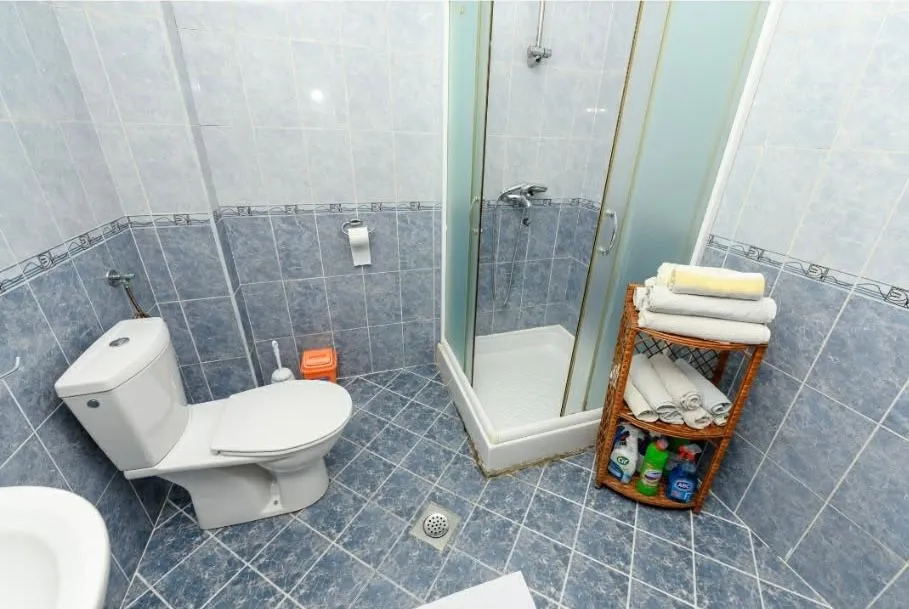 Smaller bathroom with a shower cabin, toilet, and towel shelf tiled in blue.