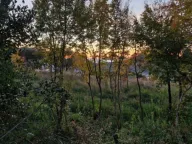 Prodaja, plac, 592m², Dobre Vode, Bar - image 7