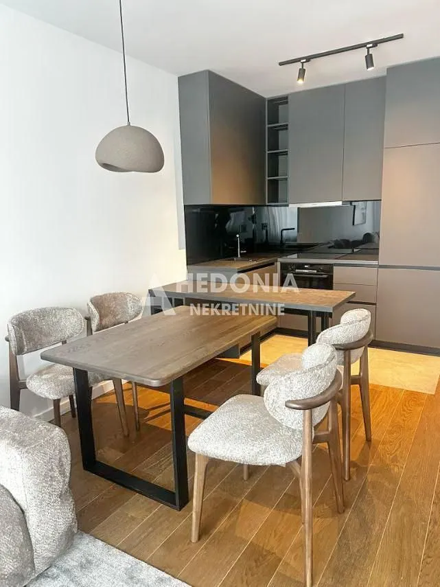 Izdavanje, dvosoban stan, 50m², Vračar Sve Podlokacije, Beograd
