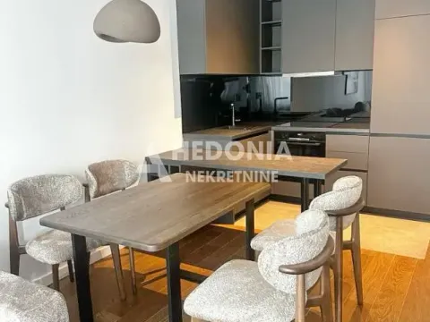 Izdavanje, dvosoban stan, 50m², Vračar Sve Podlokacije, Beograd - image 5