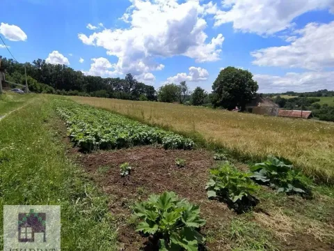 Prodaja, plac, 8000m², Jasenak, Obrenovac - image 7