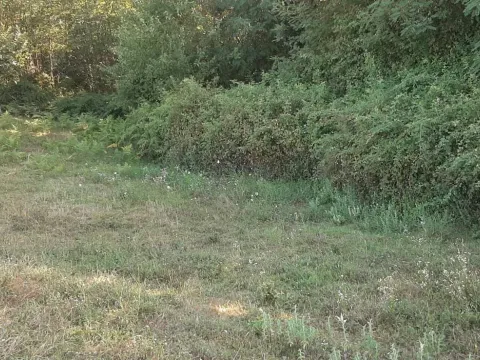 Prodaja, plac, 9192m², Danilovgrad, Crna Gora - image 2