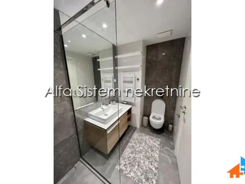 Izdavanje, dvosoban stan, 55m², Savski Venac, Beograd - image 14