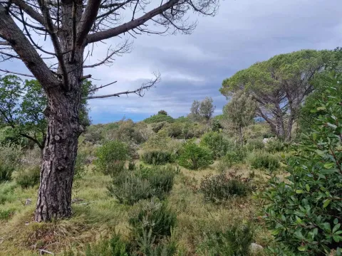 Prodaja, plac, 930m², Zagora, Kotor - image 12