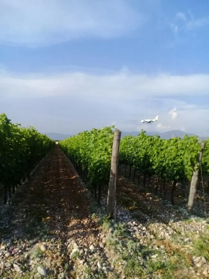 Prodaja, plac, 15000m², Podgorica, Crna Gora