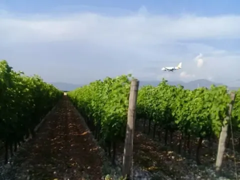 Prodaja, plac, 15000m², Podgorica, Crna Gora - image 2