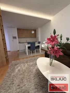 Izdavanje, dvosoban stan, 42m², Rotkvarija, Novi Sad Sve Podlokacije - image 4