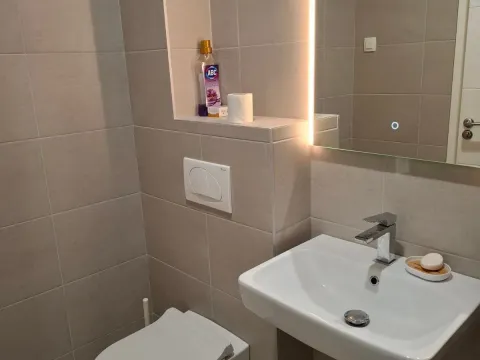 Izdavanje, jednosoban stan, 47m², Pobrežje, Podgorica - image 4