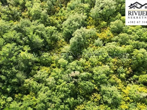 Prodaja, plac, 5356m², Dub, Kotor - image 5