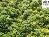 Prodaja, plac, 5356m², Dub, Kotor - image 5