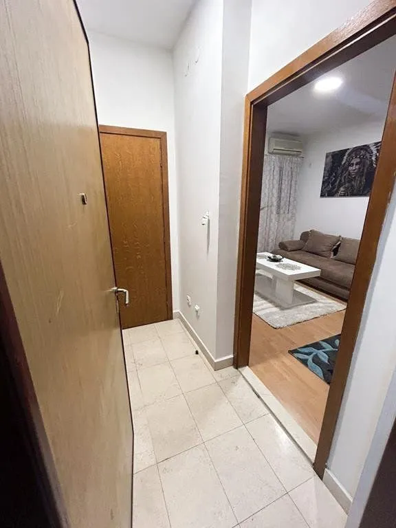 Izdavanje, jednosoban stan, 42m², Preko Morače, Podgorica