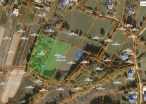 Prodaja, plac, 4000m², Kosić, Danilovgrad - image 5