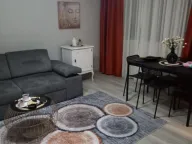 Izdavanje, jednosoban stan, 47m², Centar, Podgorica - image 2