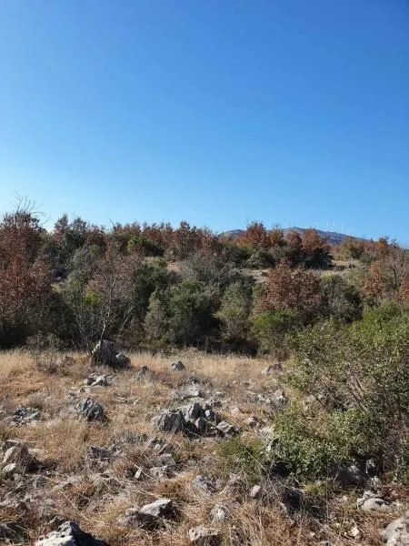 Prodaja, plac, 17900m², Ulcinj, Crna Gora