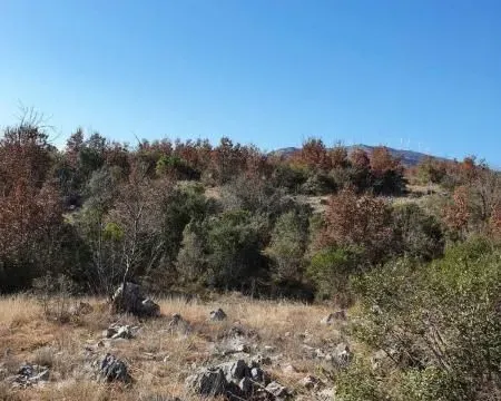 Sale, land lot, 17900m², Ulcinj, Crna Gora - image 2