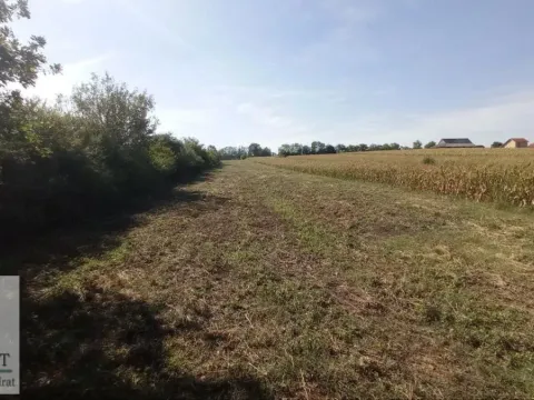 Sale, land lot, 5400m², Stubline, Obrenovac - image 3