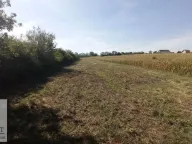 Prodaja, plac, 54m², Stubline, Obrenovac - image 3