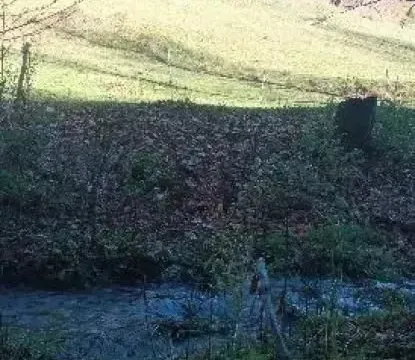 Sale, land lot, 99100m², Donja Bukovica, Šavnik - image 2