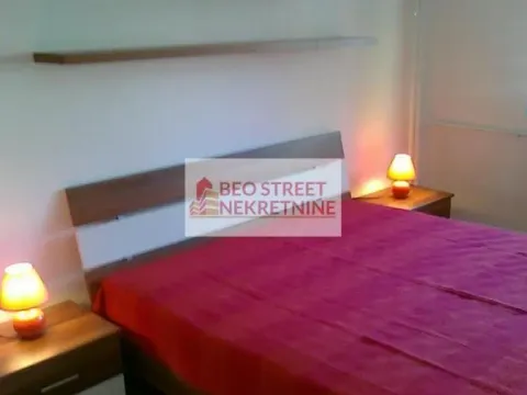 Izdavanje, dvosoban stan, 45m², Vračar Centar, Vračar Sve Podlokacije - image 2