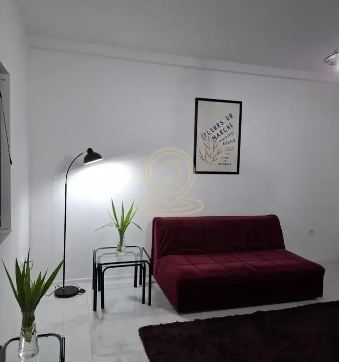Rent, one bedroom apartment, 42m², Mala vaga, Kragujevac