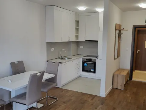 Izdavanje, jednosoban stan, 47m², Stari Aerodrom, Podgorica - image 7