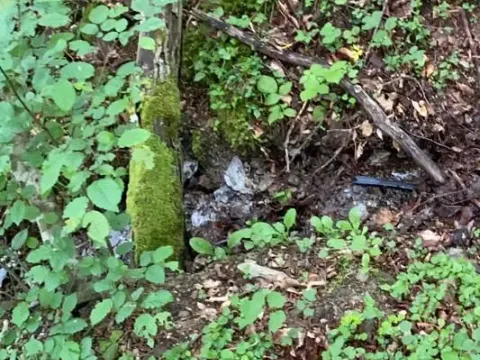 Prodaja, plac, 13789m², Bijelo Polje, Podgorica - image 13