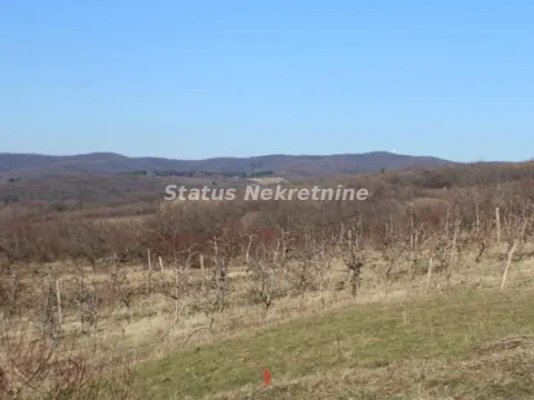 Sale, land lot, 2500m², Irig, Srbija - image 11