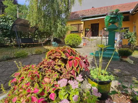 Prodaja, kuća, 181m², Irig, Srbija - image 1