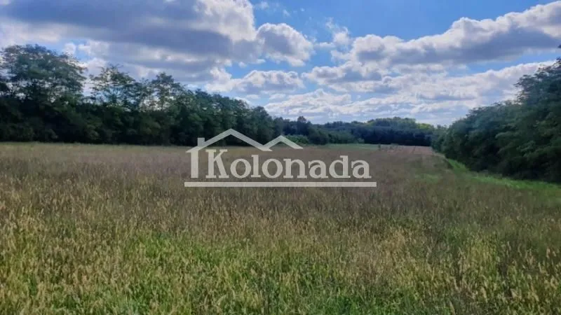Prodaja, plac, 7600m², Dučina, Sopot