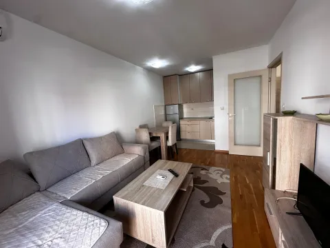 Izdavanje, jednosoban stan, 45m², Zabjelo, Podgorica - image 2