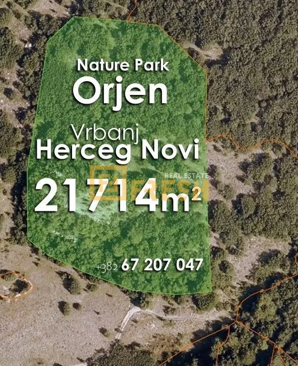 Prodaja, plac, 21714m², Herceg Novi, Crna Gora