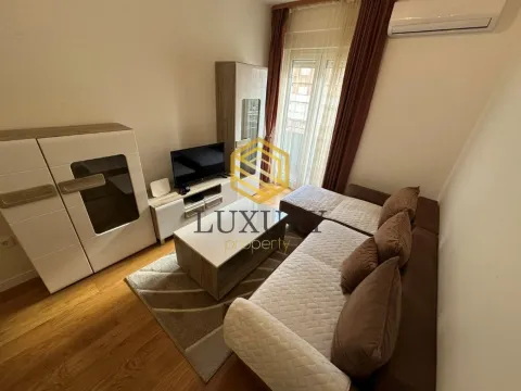 Izdavanje, jednosoban stan, 42m², Central Point, Podgorica - image 1