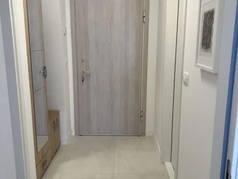 Izdavanje, jednosoban stan, 49m², Central Point, Podgorica - image 4