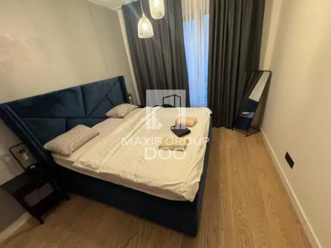 Izdavanje, dvosoban stan, 50m², Savski Venac, Beograd - image 9