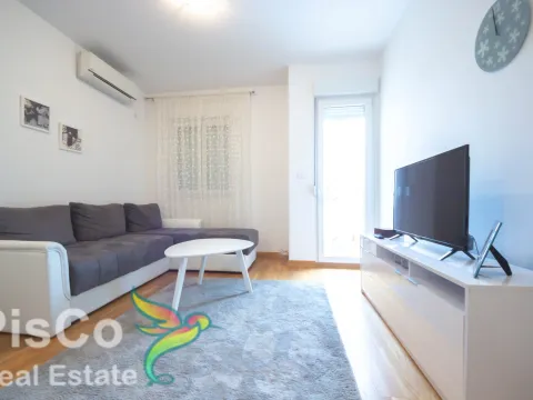 Izdavanje, jednosoban stan, 40m², Ljubović, Podgorica - image 9