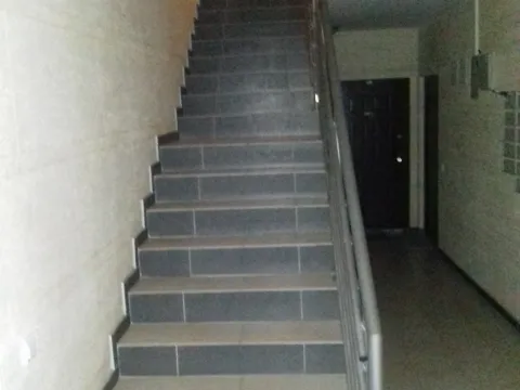 Izdavanje, dvosoban stan, 38m², Palilula Sve Podlokacije, Beograd - image 3