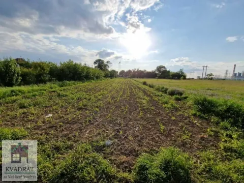 Prodaja, plac, 1000m², Zvečka, Obrenovac - image 7