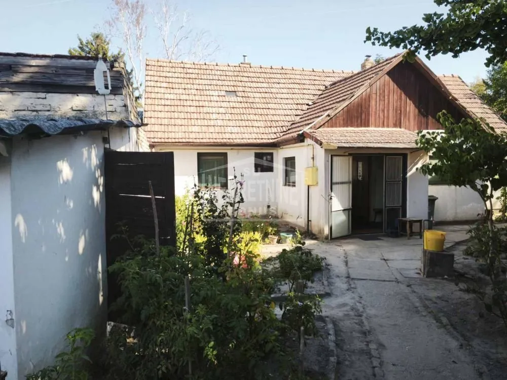 Pogled na dvorište i zadnju stranu kuće sa popločanim stazama i baštom.