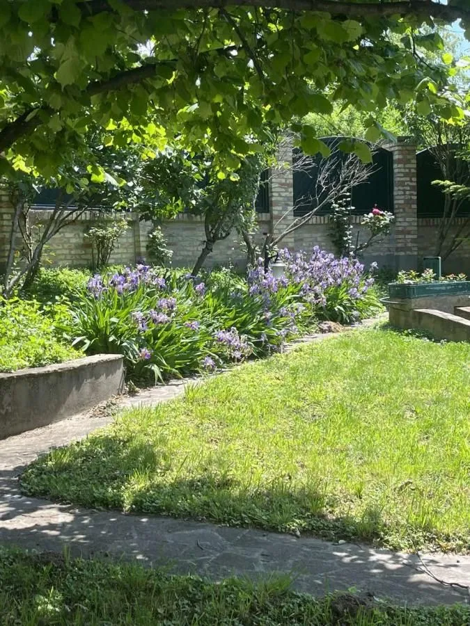 Rent, house, 280m², Zvezdarska Šuma, Zvezdara Sve Podlokacije
