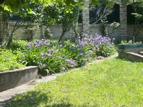 Izdavanje, kuća, 280m², Zvezdarska Šuma, Zvezdara Sve Podlokacije - image 13