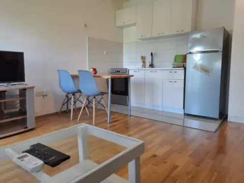 Rent, studio apartment, 25m², Zabjelo, Podgorica