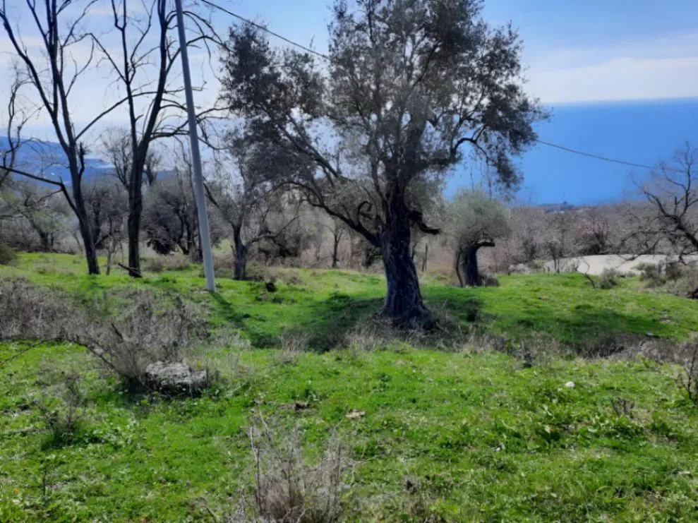 Prodaja, plac, 2600m², Dobre Vode, Bar