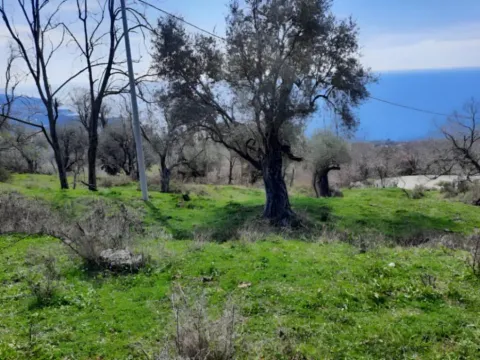 Prodaja, plac, 2600m², Dobre Vode, Bar - image 2