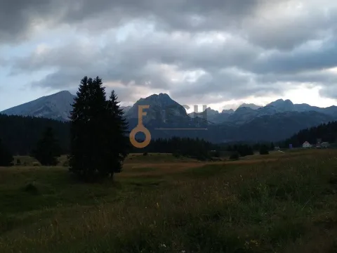 Prodaja, plac, 1600m², Žabljak, Crna Gora - image 4