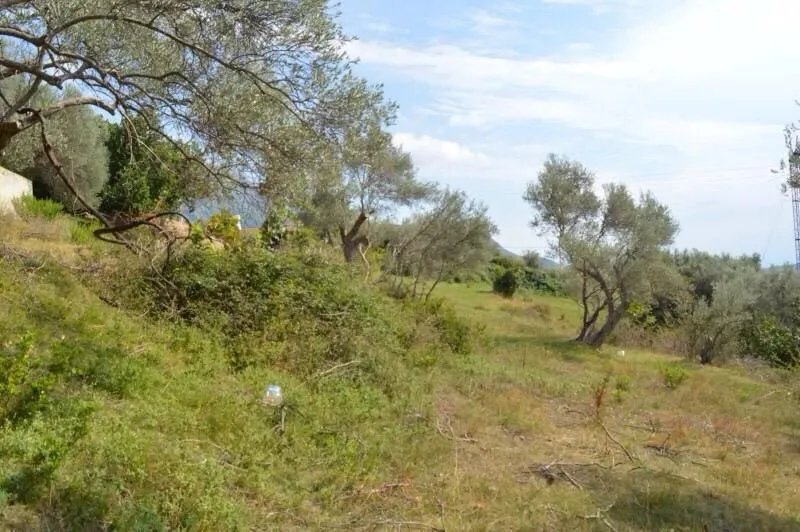Prodaja, plac, 3000m², Velembusi, Bar