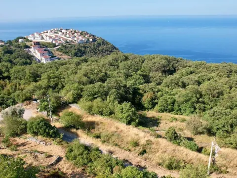 Sale, land lot, 7000m², Blizikuće, Budva - image 3