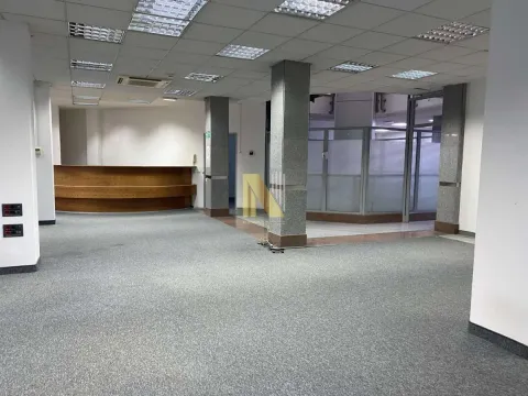 Izdavanje, poslovni prostor, 352m², Bulevar Oslobodjenja, Novi Sad Sve Podlokacije - image 4