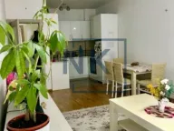 Izdavanje, jednosoban stan, 48m², Stari Aerodrom, Podgorica - image 3