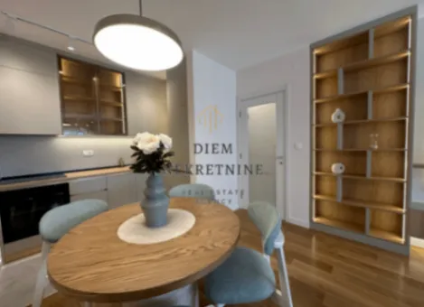 Izdavanje, jednosoban stan, 47m², Central Point, Podgorica - image 10